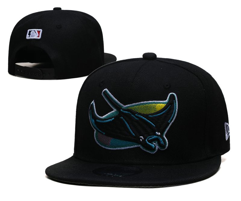 2024 MLB Tampa Bay Rays Hat TX202405101